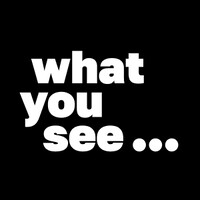 What You See... logo - Similar company to Mada Designs