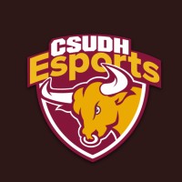 Esports CSUDH logo - Similar company to Haddaf