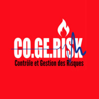 CoGeRisk logo - Similar company to Euro Logistic