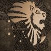 Corinthians Africa. logo - Similar company to Dynamic Auctioneers