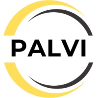 PALVI logo - Similar company to Encodelyt