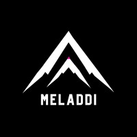 Meladdi logo - Similar company to That Converts!