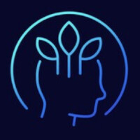 Self Experience Curator