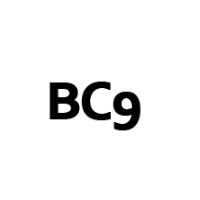 BC9 logo - Similar company to Next Coders