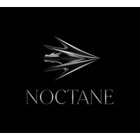 Noctane GmbH logo - Similar company to Void Gmbh