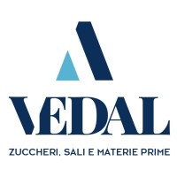 Vedal Srl logo - Similar company to Tecnoprogress Web & Idee