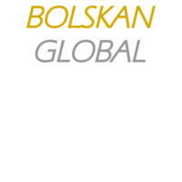 Bolskan Global logo - Similar company to Brokerrail