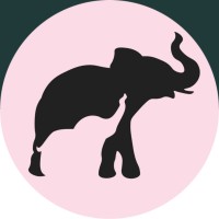 Safe Elephant logo - Similar company to Mss Safety