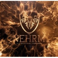 NEHRM® Services Pvt Ltd logo - Similar company to Netman India