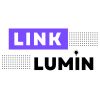Link Lumin logo - Similar company to Neurosyncai