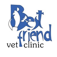 Best Friend Vet Clinic logo - Similar company to Efada.Ai