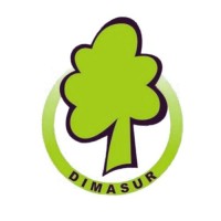 DISTRIBUIDORA DE MADERA DEL SUR - DIMASUR logo - Similar company to Grupo Madecorp - Puertas De Madera