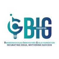 BIG Foundation logo - Similar company to Boostopia.Io