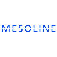 Mesoline logo - Similar company to Gcp Technology As