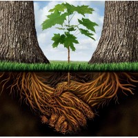 Wild Connexion - Retour au [Sauvage] logo - Similar company to Espace Rambouillet