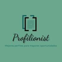 Profilionist logo - Similar company to Cipsa Trade