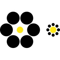Amiko Benefits Inc. logo - Similar company to Silverberg Group