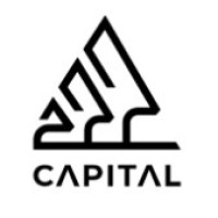 222 Capital logo - Similar company to Mobben