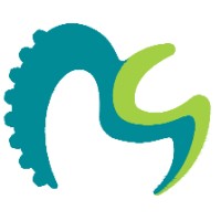 MAESTROTECH logo - Similar company to Infinity Technology