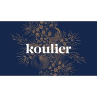 Koulier logo - Similar company to Společnost E / Czech Epilepsy Association