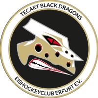 TecArt Black Dragons Erfurt logo - Similar company to M-Events