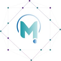 Maxitech Instruments logo - Similar company to Neuroheap