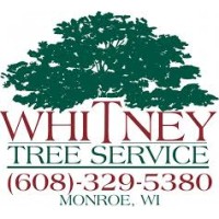 Whitney Tree service