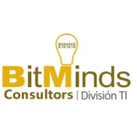 BitMinds Consultors logo - Similar company to Bitminds