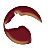 The Arabian Magazine logo - Similar company to Bb Magzine