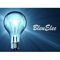 BleuElec logo - Similar company to Detroit Trading