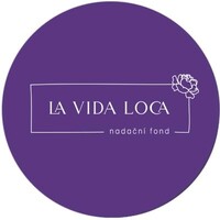 Nadační fond LA VIDA LOCA logo - Similar company to Nadace Osf