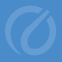 TechSoft International logo - Similar company to Terra Analytics