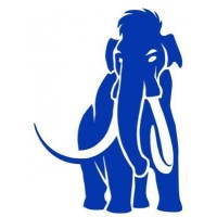 Mammoth Structures logo - Similar company to Delta Steel Structures Private Limited