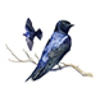 Wood Ronsaville Harlin, Inc. logo - Similar company to Qindil Visuals