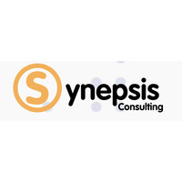 Synepsis Consulting logo - Similar company to Twinmakers