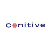 Conitive logo - Similar company to Dashbite