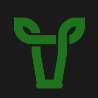YINGOS logo - Similar company to Vins Selection