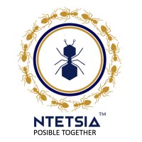 NTETSIA LBG logo - Similar company to Ghana Co-Operative Credit Union Association