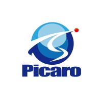 Picaro logo - Similar company to Geaster Solutions Inc.