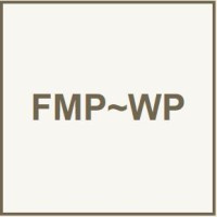 WordPress Filemaker Solutions logo - Similar company to Junior