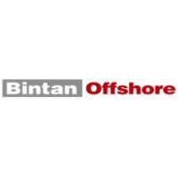 Bintan Offshore logo - Similar company to Pt. Bintan Shipping Bioteknik