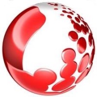 Ironborn logo - Similar company to Ilearning Solutions