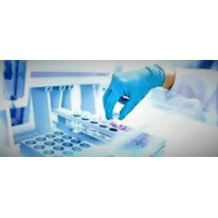 ExperTox logo - Similar company to International Society Of Regulatory Toxicology And Pharmacology