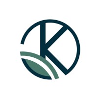 Neokebo logo - Similar company to Ipsoon - Ux Design Agency