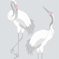 Crane Quality Counselling logo - Similar company to Edshift