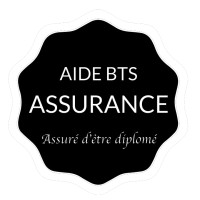 Aide BTS Assurance logo - Similar company to Myassurbox