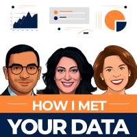 How I Met Your Data logo - Similar company to Bionicx Ai