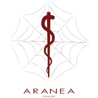 Aranea Investments logo - Similar company to Wavydigital