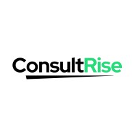 ConsultRise logo - Similar company to Barma Solutions