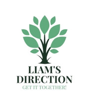 Liam's Direction